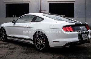 Xe Ford Mustang EcoBoost 2015