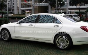 Xe Mercedes Benz S class S450L 2018