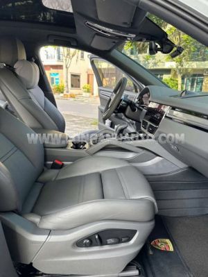 Xe Porsche Cayenne Coupe Platinum Edition 2022